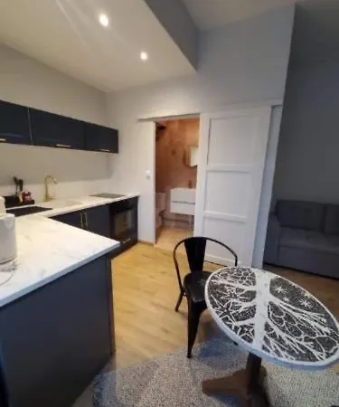 Apartamento Studio Hyper-centre *